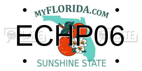 ECHP06 Florida License Plate