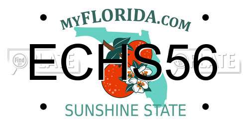 ECHS56 Florida License Plate