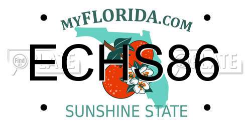 ECHS86 Florida License Plate
