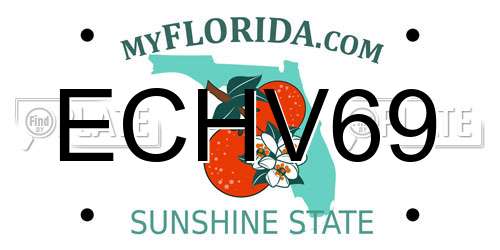 ECHV69 Florida License Plate