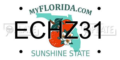 ECHZ31 Florida License Plate