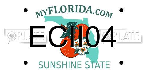 ECII04 Florida License Plate