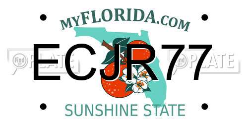 ECJR77 Florida License Plate