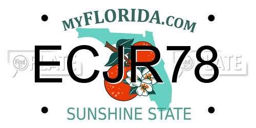 ECJR78 Florida License Plate