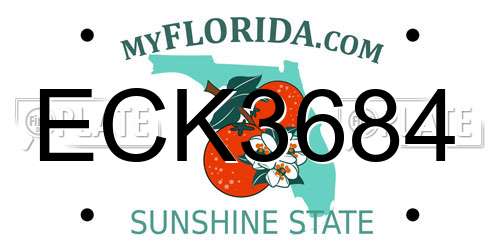 ECK3684 Florida License Plate