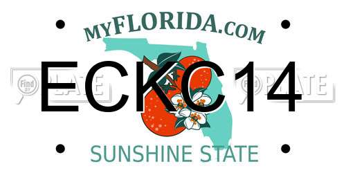 ECKC14 Florida License Plate