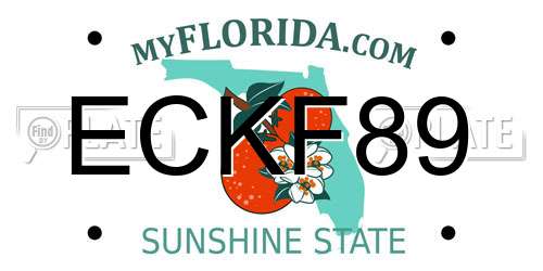 ECKF89 Florida License Plate