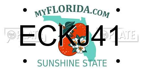 ECKJ41 Florida License Plate