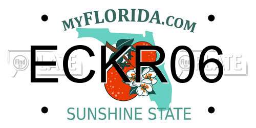 ECKR06 Florida License Plate