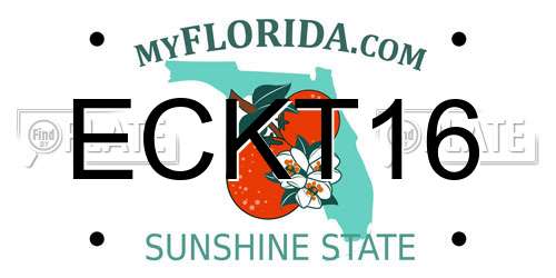 ECKT16 Florida License Plate