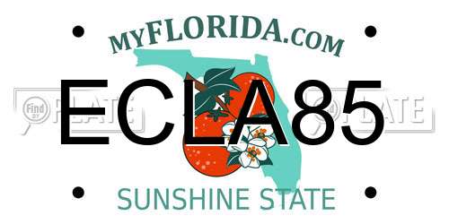 ECLA85 Florida License Plate