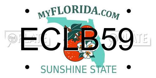 ECLB59 Florida License Plate