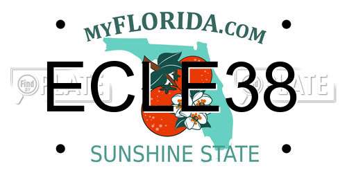 ECLE38 Florida License Plate