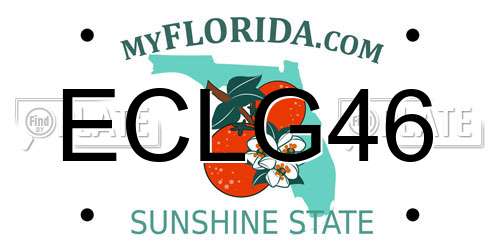 ECLG46 Florida License Plate