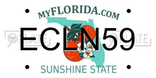 ECLN59 Florida License Plate