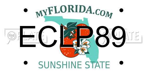 ECLP89 Florida License Plate