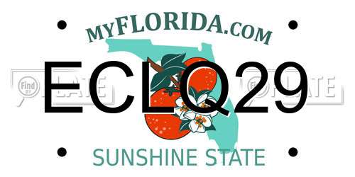 ECLQ29 Florida License Plate