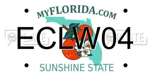 ECLW04 Florida License Plate