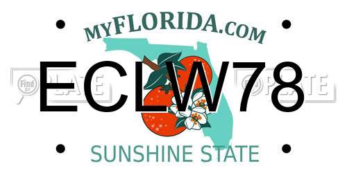 ECLW78 Florida License Plate