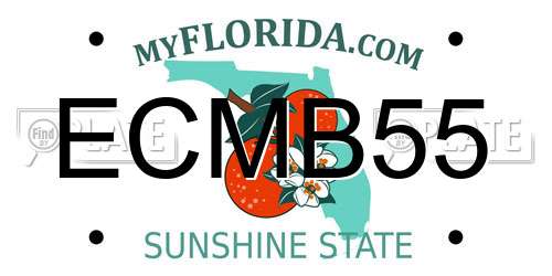 ECMB55 Florida License Plate