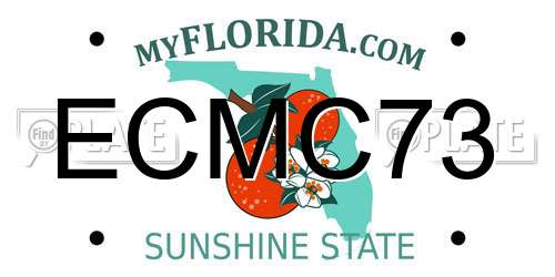 ECMC73 Florida License Plate