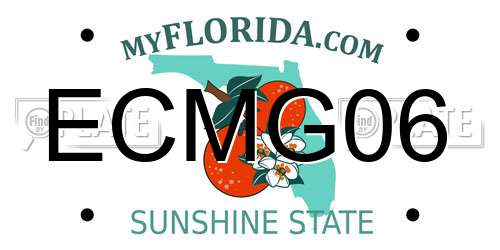 ECMG06 Florida License Plate