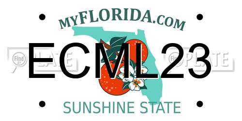 ECML23 Florida License Plate