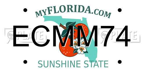 ECMM74 Florida License Plate
