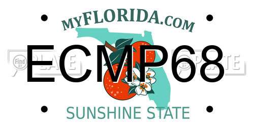 ECMP68 Florida License Plate