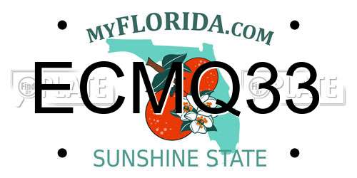 ECMQ33 Florida License Plate