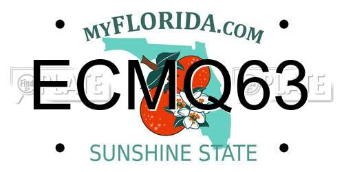 ECMQ63 Florida License Plate