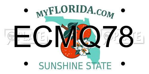 ECMQ78 Florida License Plate