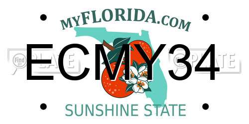 ECMY34 Florida License Plate