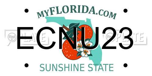 ECNU23 Florida License Plate