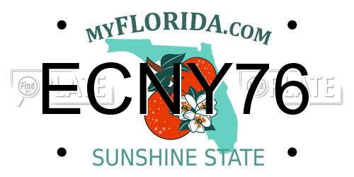 ECNY76 Florida License Plate