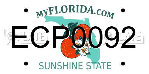 ECP0092 Florida License Plate
