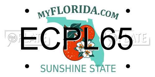ECPL65 Florida License Plate