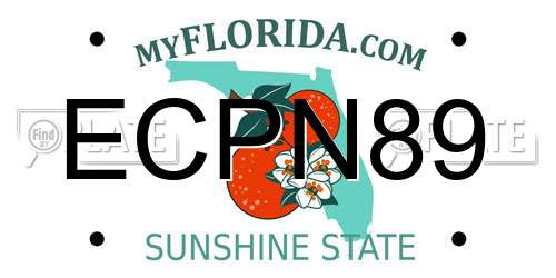 ECPN89 Florida License Plate