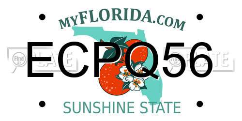 ECPQ56 Florida License Plate