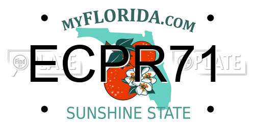 ECPR71 Florida License Plate