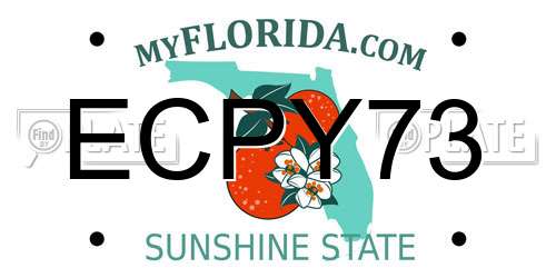 ECPY73 Florida License Plate