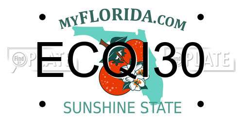 ECQI30 Florida License Plate