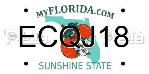 ECQJ18 Florida License Plate