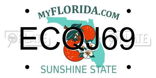 ECQJ69 Florida License Plate