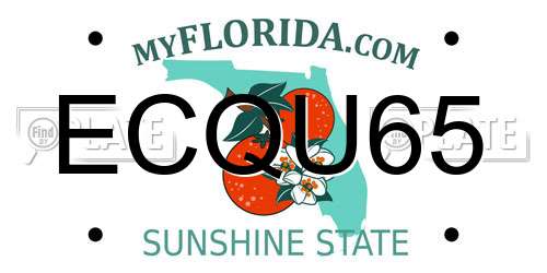 ECQU65 Florida License Plate