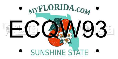 ECQW93 Florida License Plate