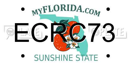 ECRC73 Florida License Plate