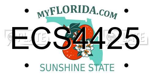 ECS4425 Florida License Plate