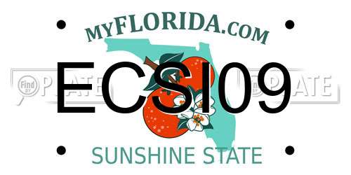 ECSI09 Florida License Plate