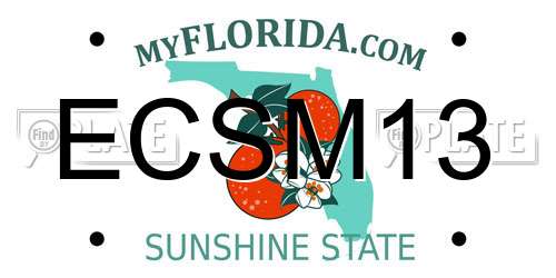 ECSM13 Florida License Plate